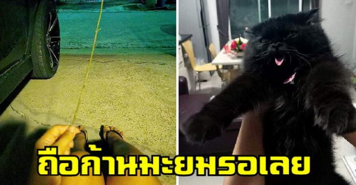 สาวถือก้านมะยมนั่งรอลูกสาว จะเคอร์ฟิวแล้วยังไม่กลับบ้าน ก่อนนางกลับมาทำหน้าตาไม่สำนึกใส่ซะด้วย